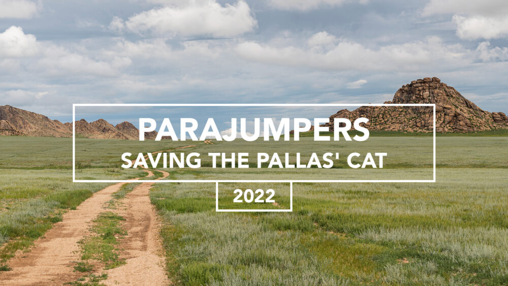 Campagna ADV – paesaggio naturalistico per Parajumpers, progetto wildlife awareness
